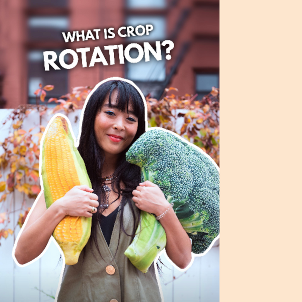 What is Crop Rotation?