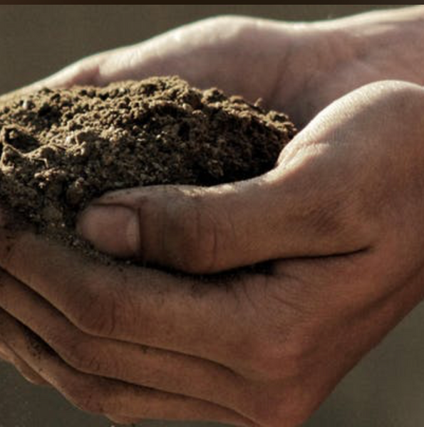 The Soul of Soil: Reversing Climate Change