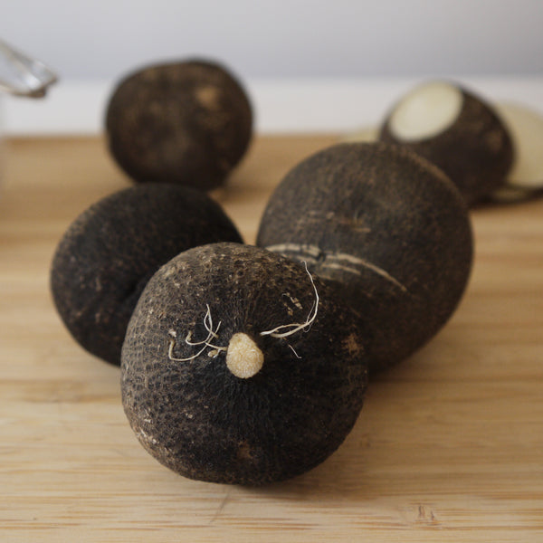 Produce Spotlight: Black Radish