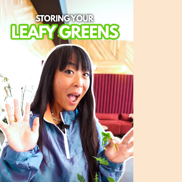Storing Your Leafy Greens