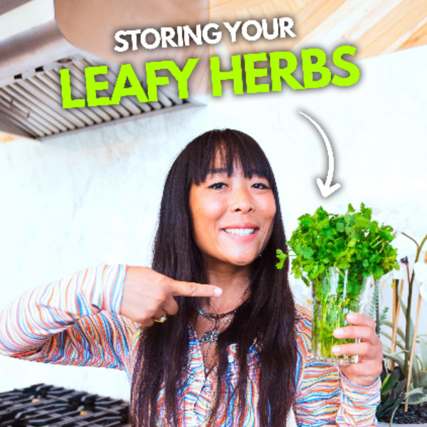 Storing Your Leafy Herbs