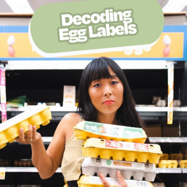 Decoding Egg Labels