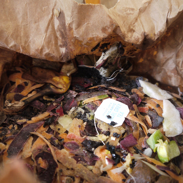 How to Start Composting (in a Tiny NYC Apartment)