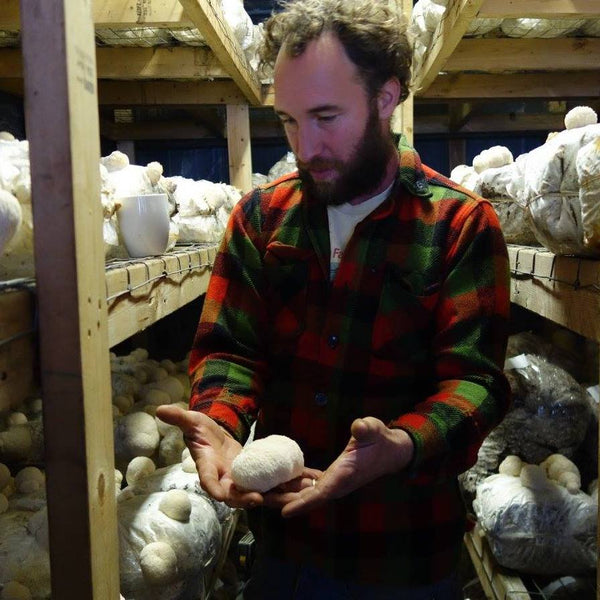Farm to Table Update: Geeking out on mushroom equipment