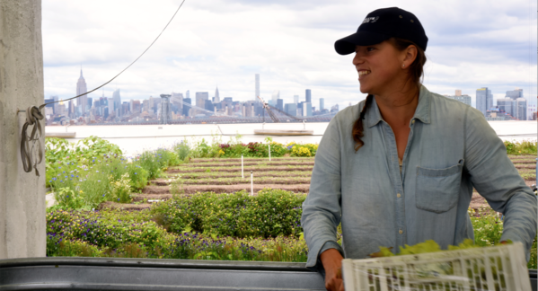 Meet Your Farmer: Brooklyn Grange