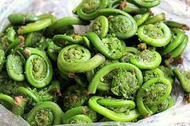 Fiddleheads