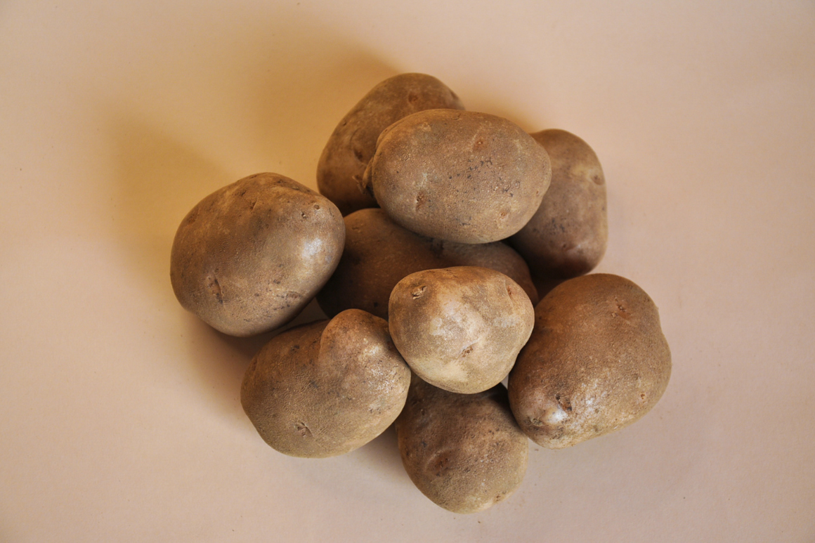 Thanksgiving White Potatoes (Add-On)