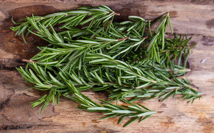 Thanksgiving Rosemary (Add-On)