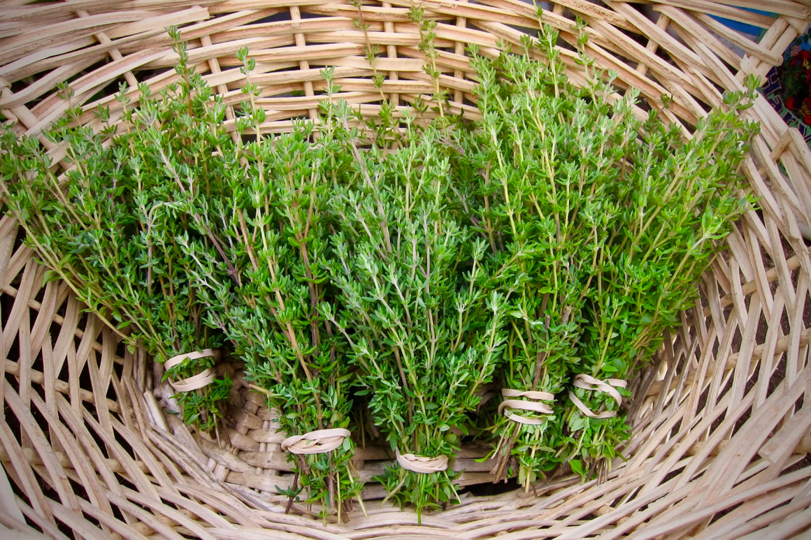 Thanksgiving Thyme (Add-On)